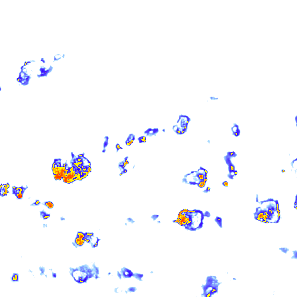 Image Layer