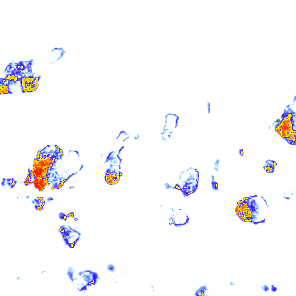 Image Layer