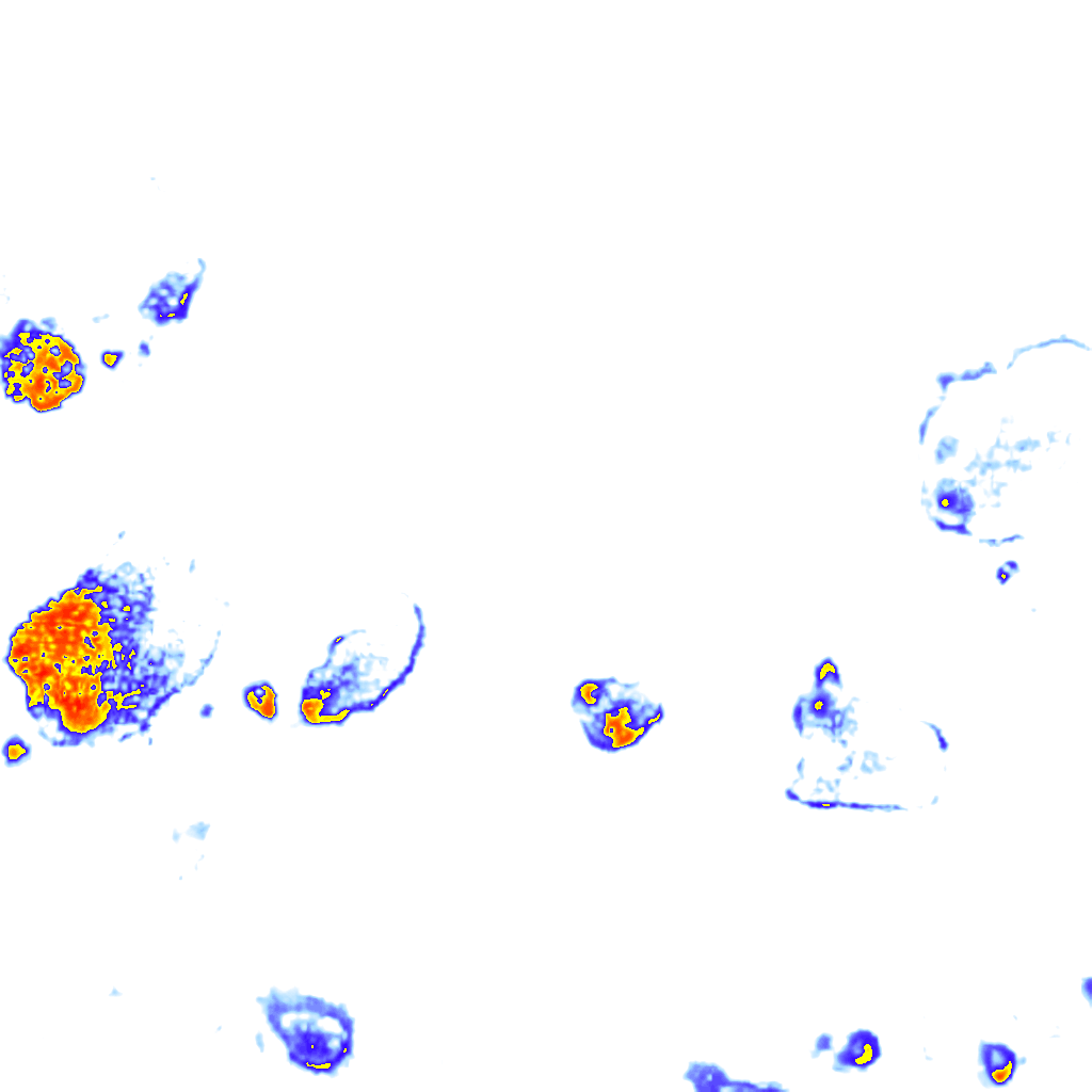 Image Layer
