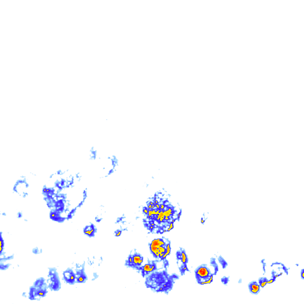 Image Layer