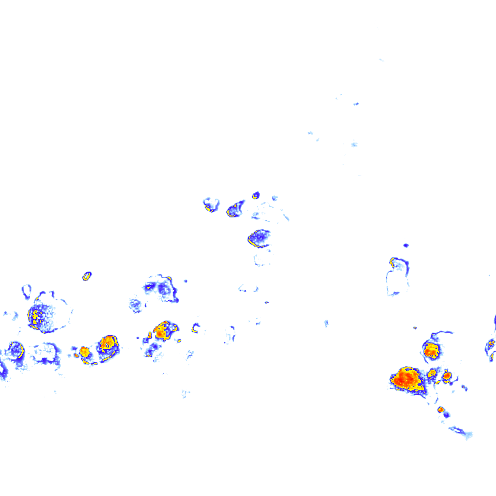 Image Layer
