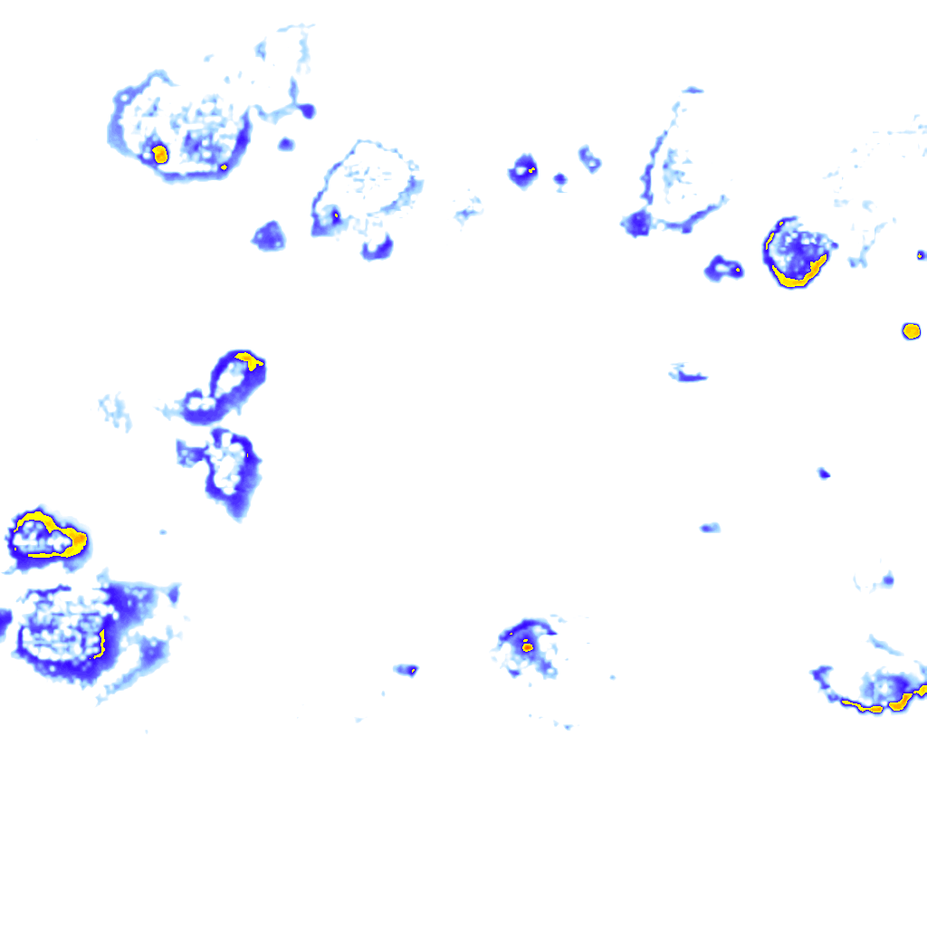 rainLayer