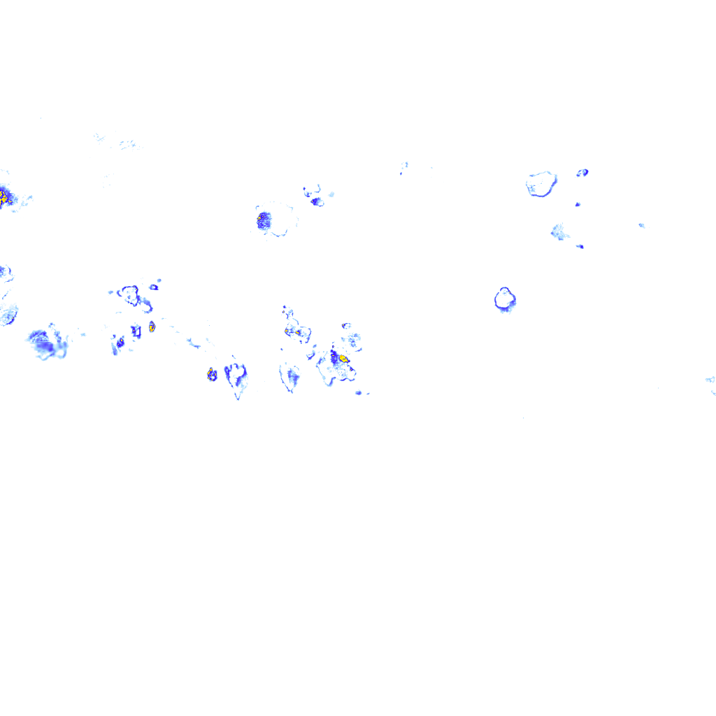 rainLayer