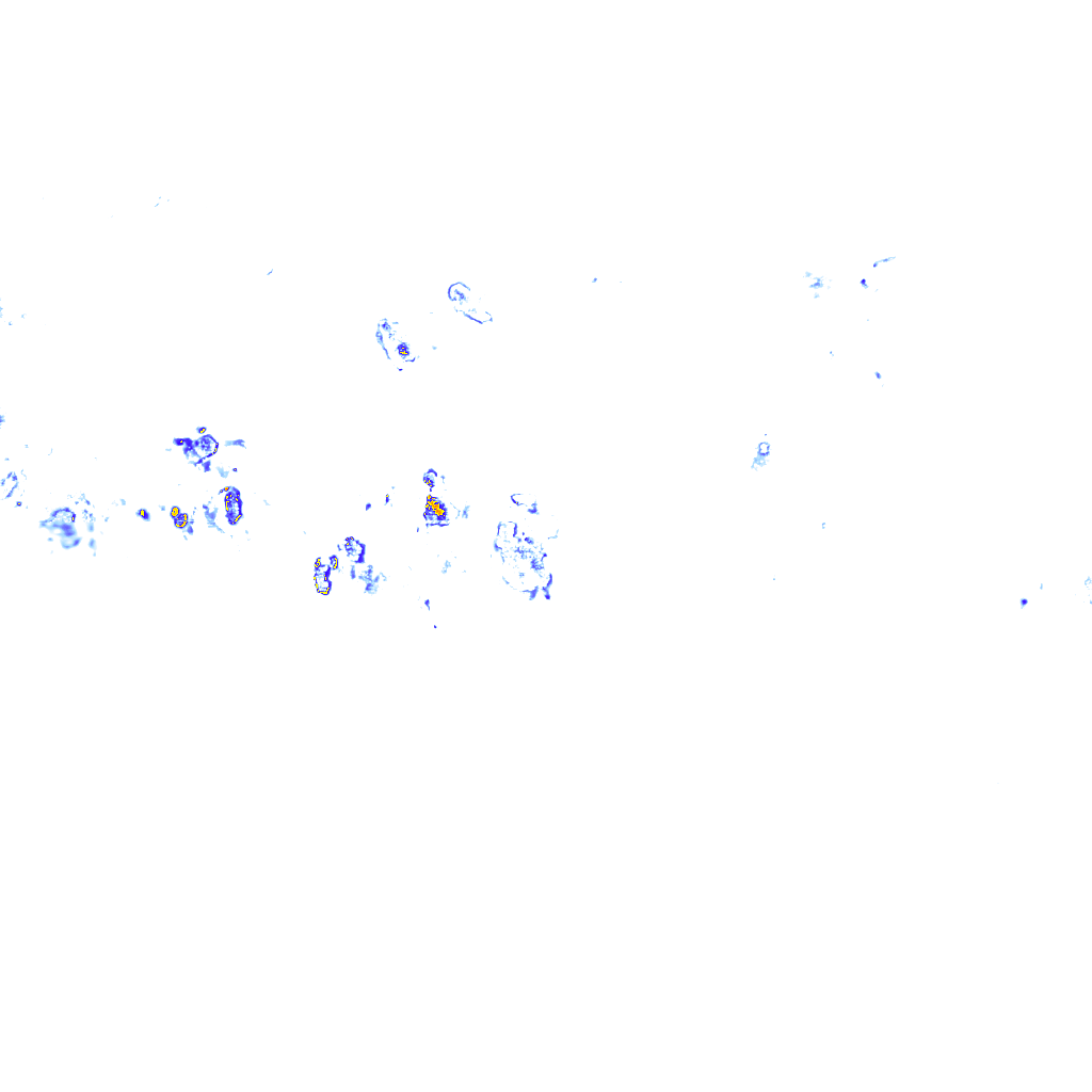 rainLayer