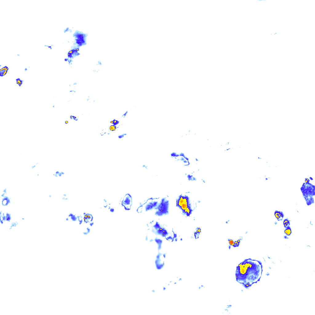 Image Layer