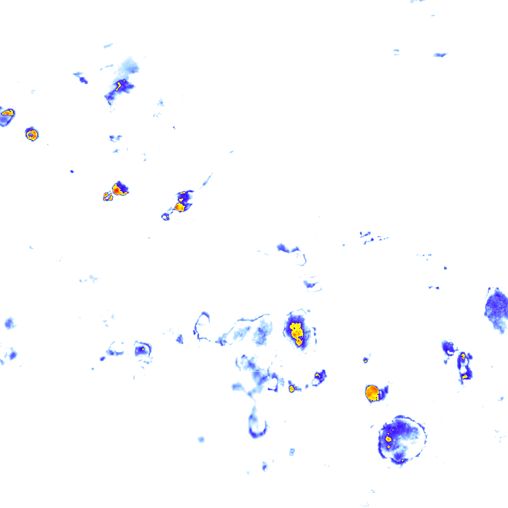 Image Layer