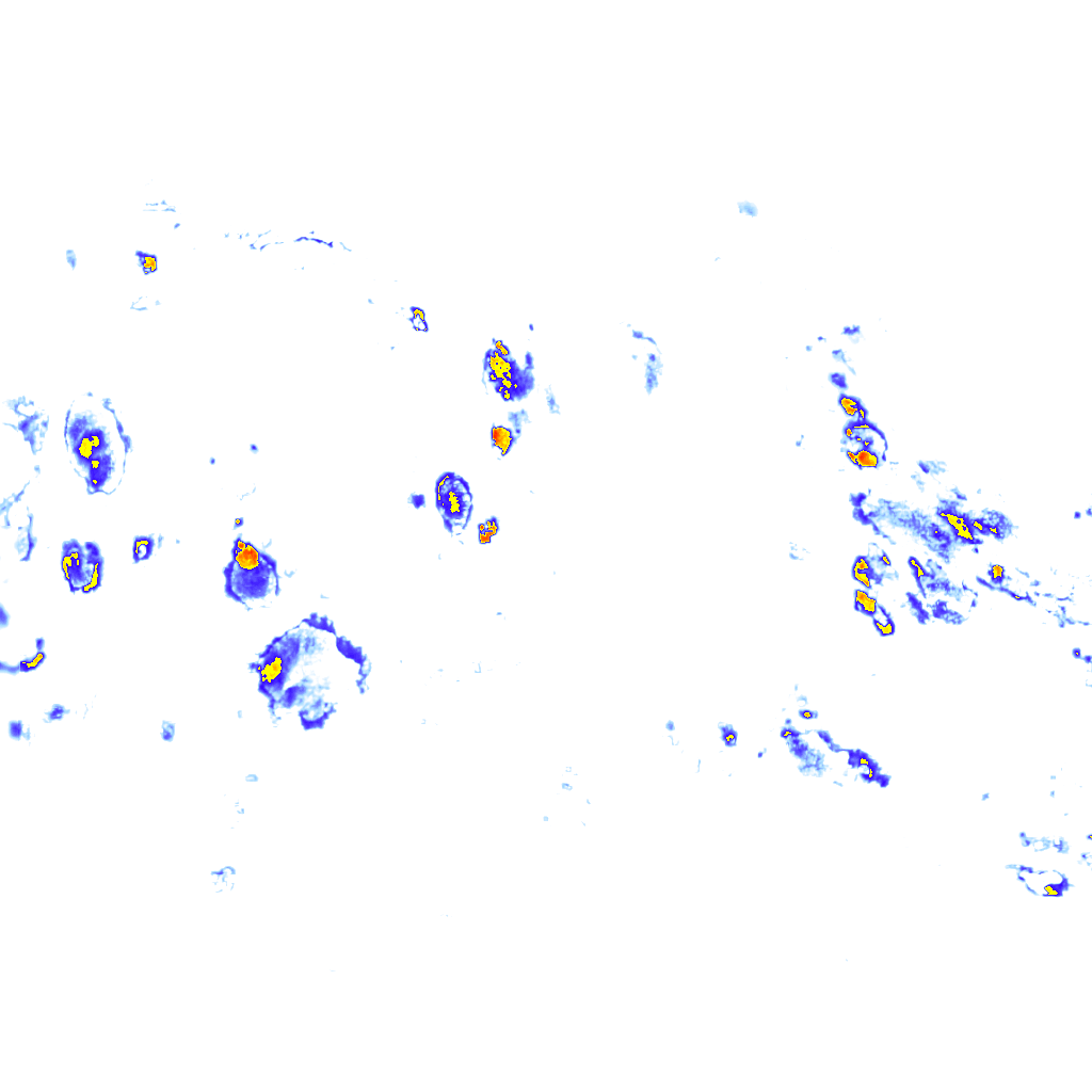 rainLayer