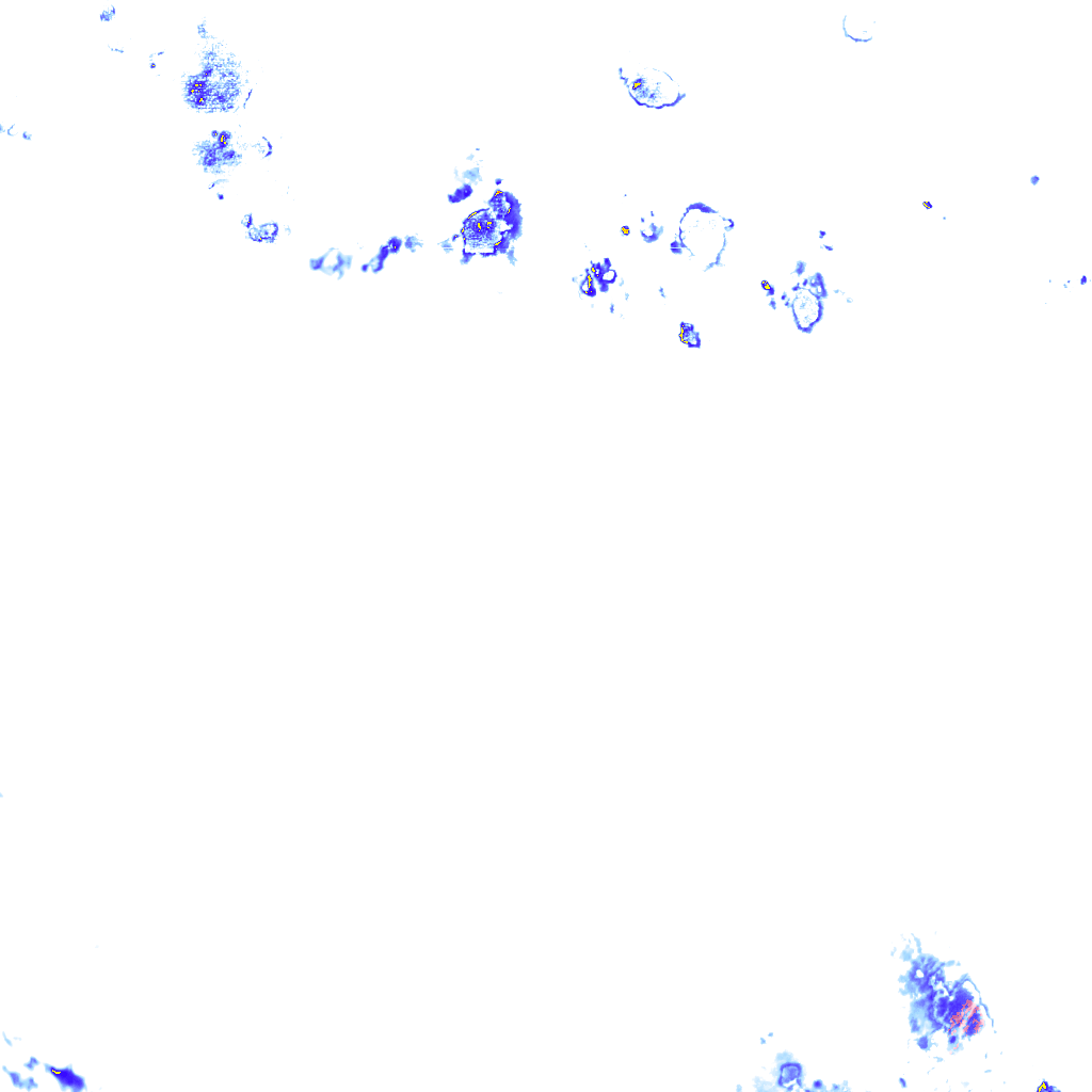 rainLayer