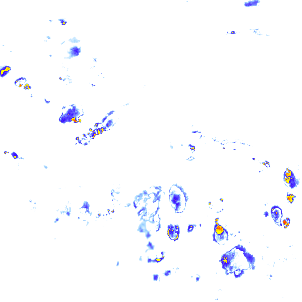 rainLayer