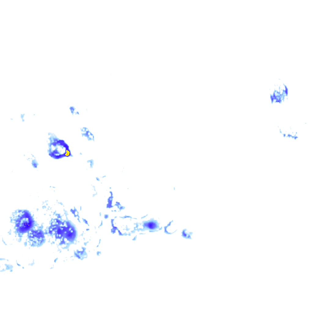 Image Layer