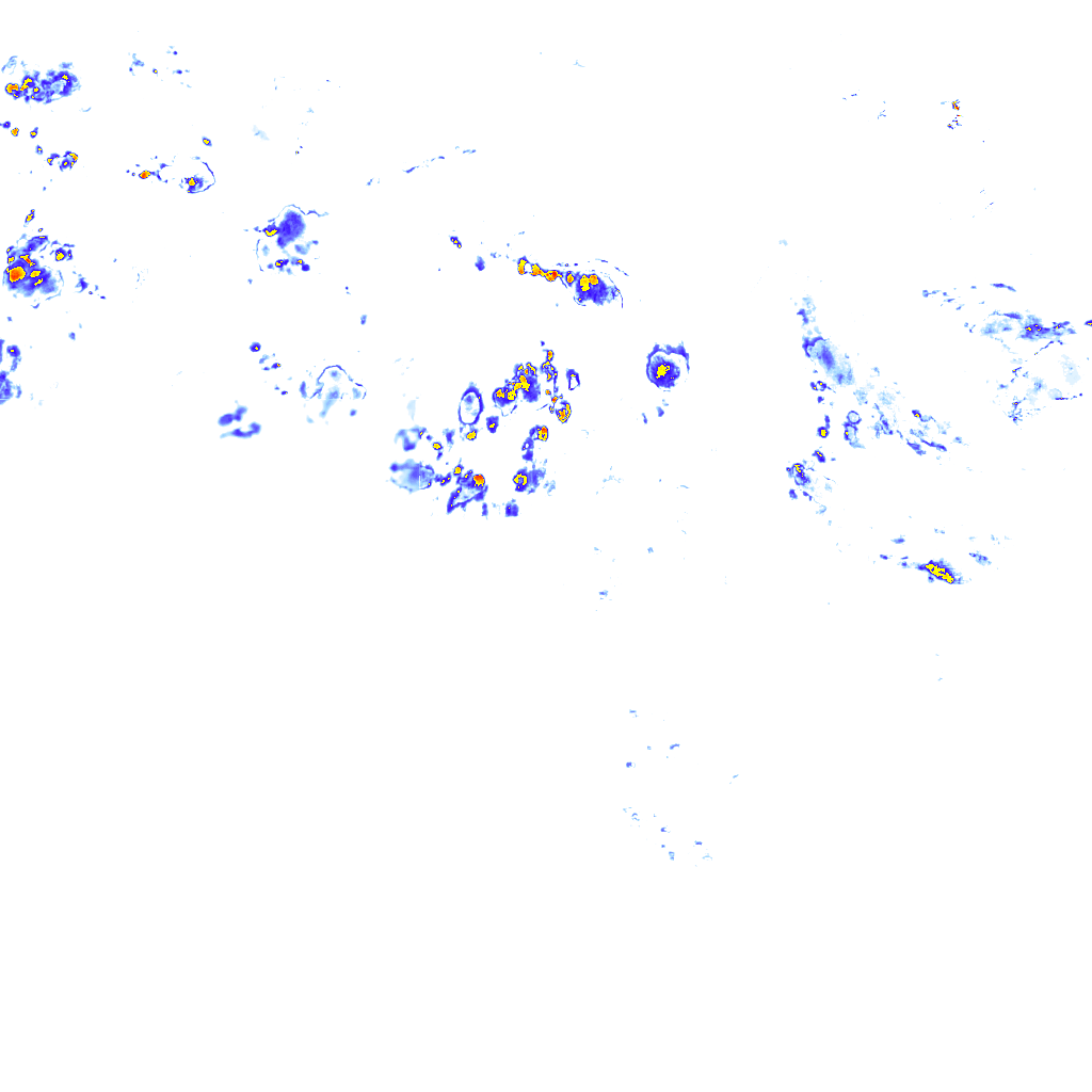 rainLayer