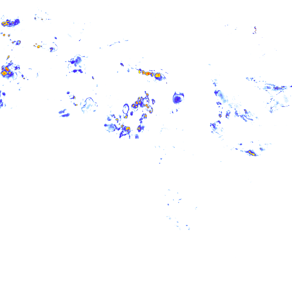 rainLayer