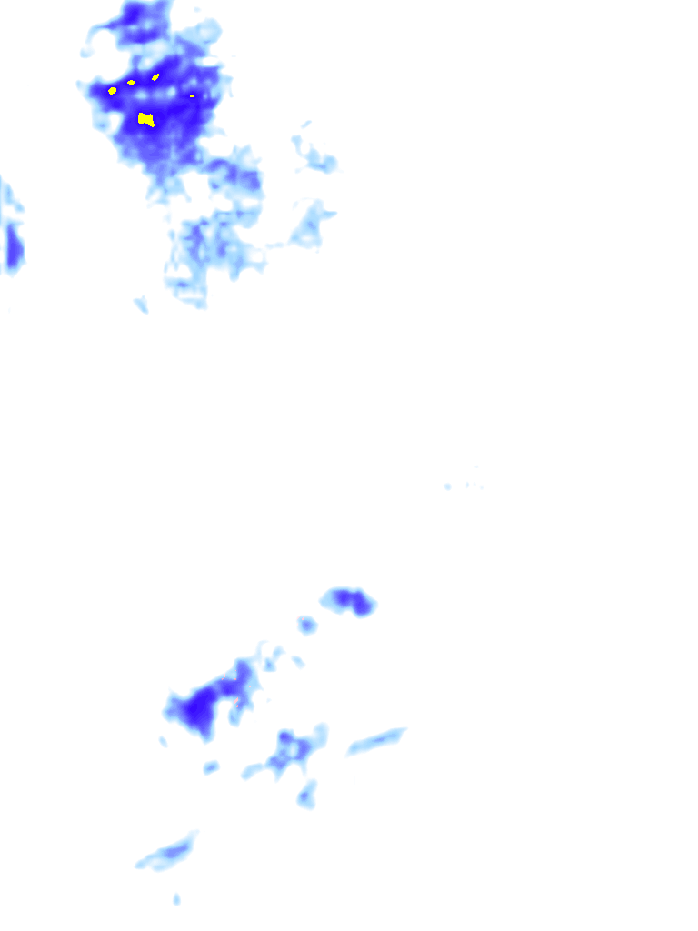 rainLayer