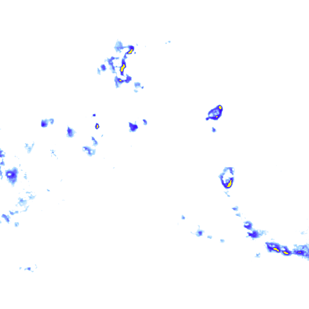 rainLayer