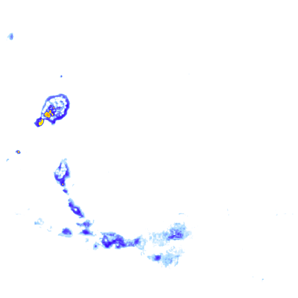 Image Layer