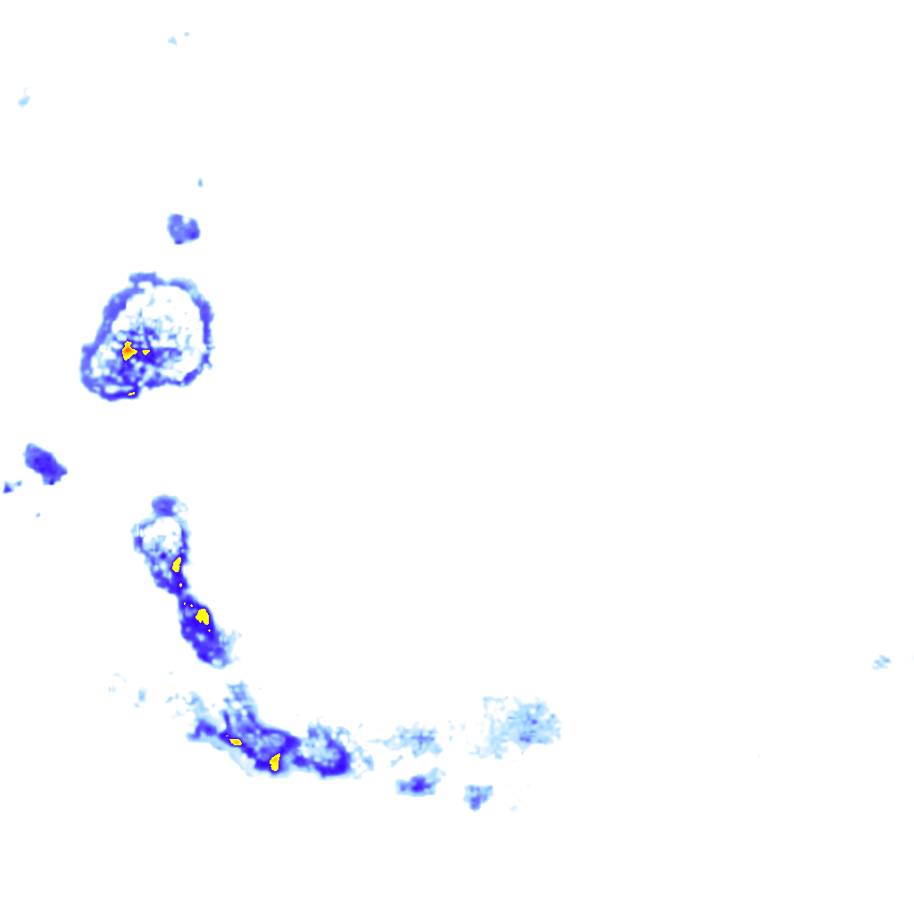 rainLayer
