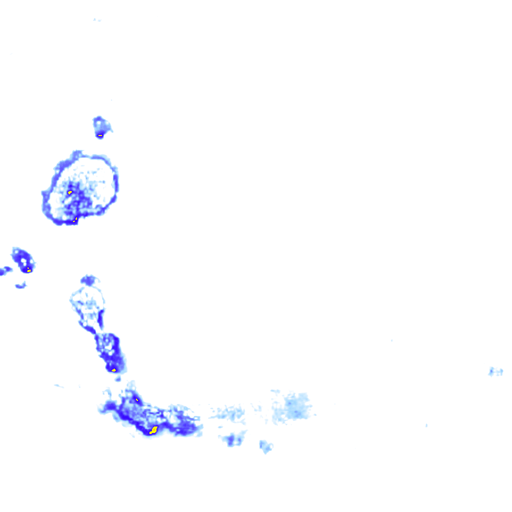 rainLayer