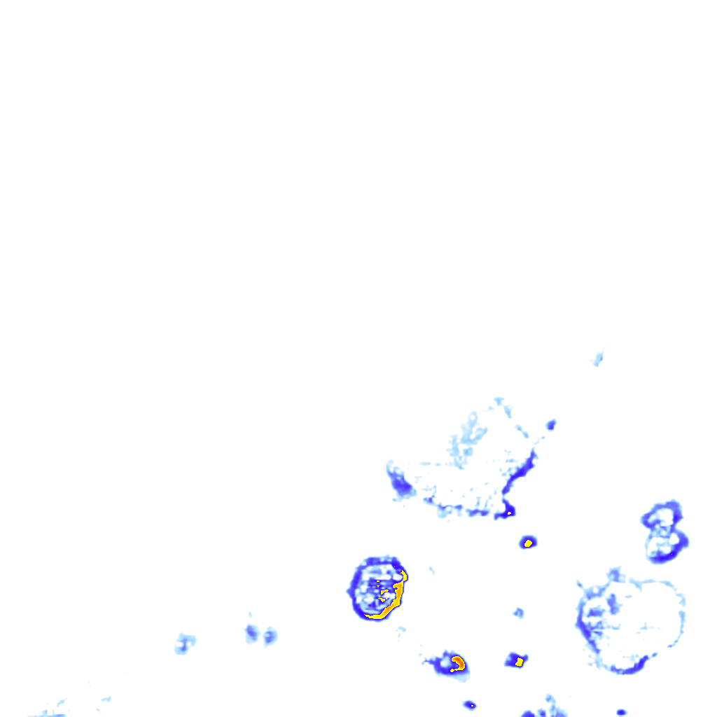 rainLayer