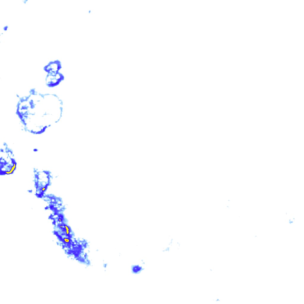 rainLayer