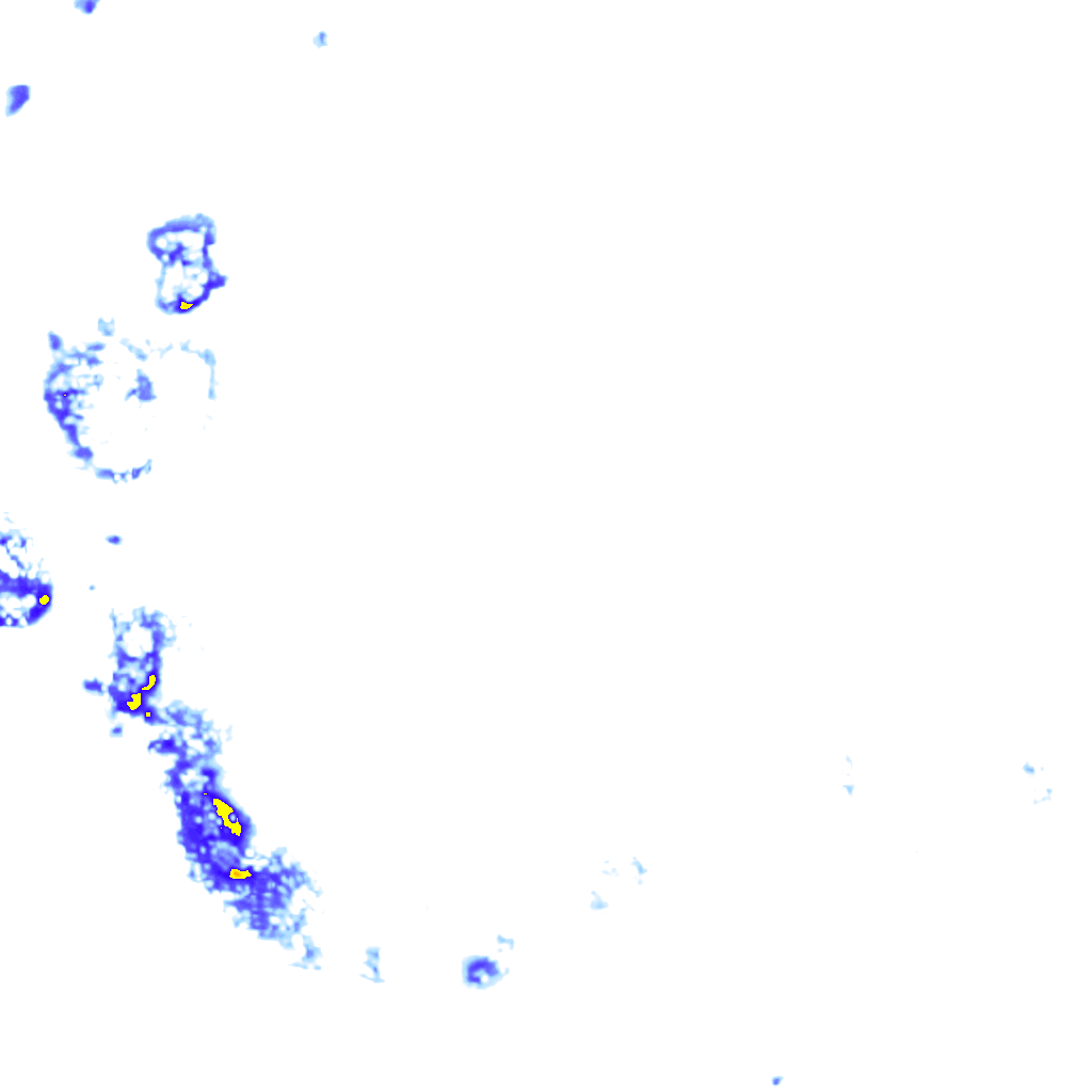 rainLayer
