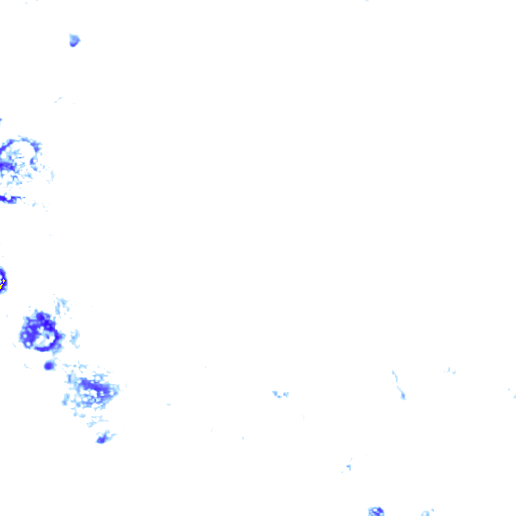 rainLayer