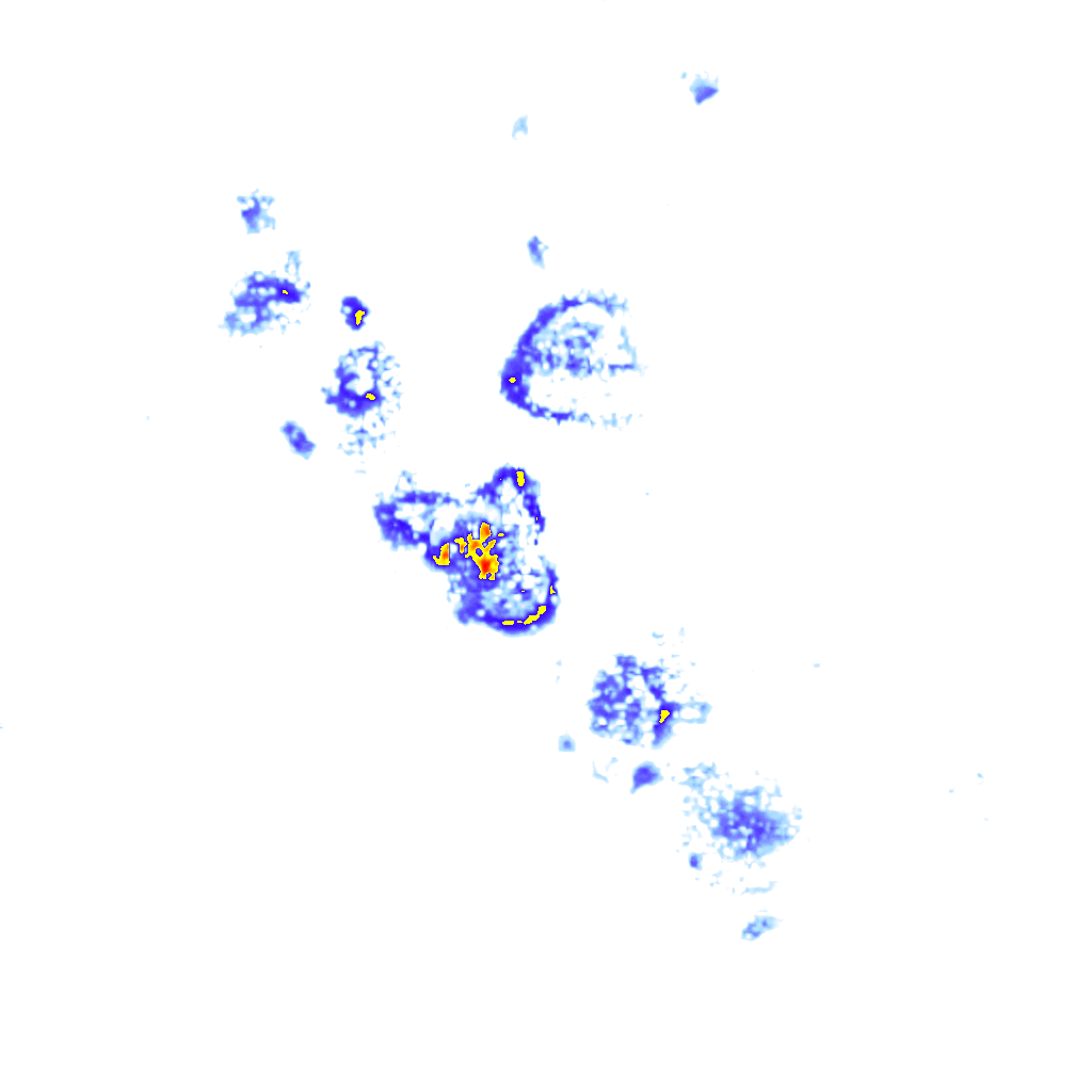rainLayer