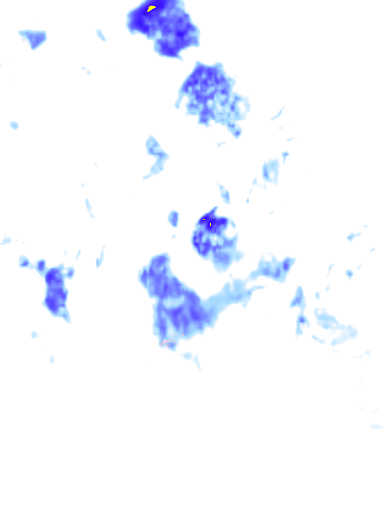 rainLayer