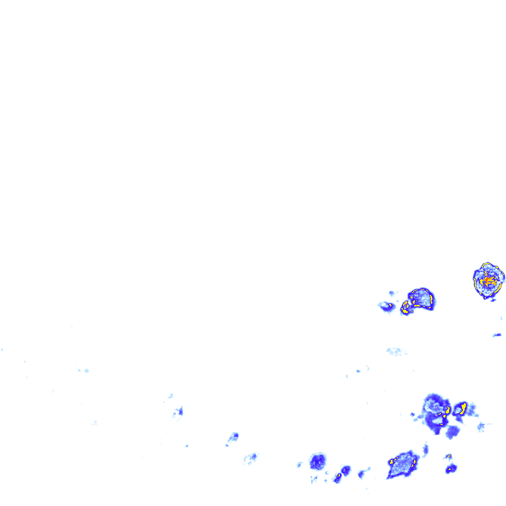 rainLayer