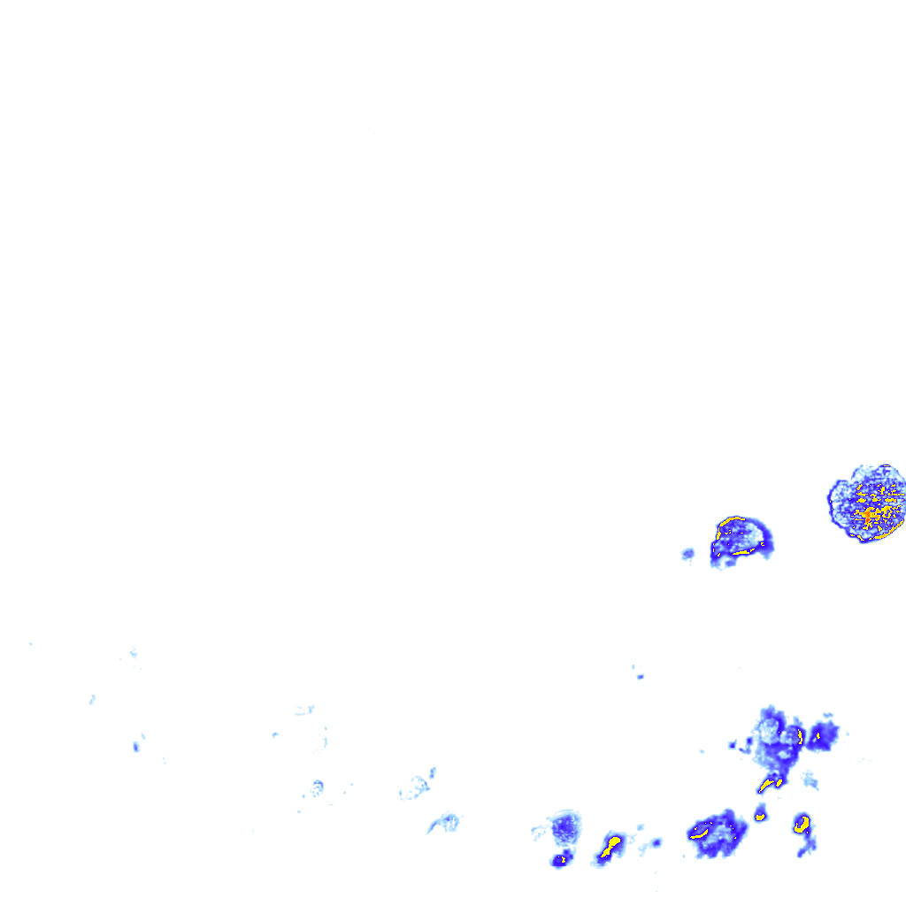 rainLayer