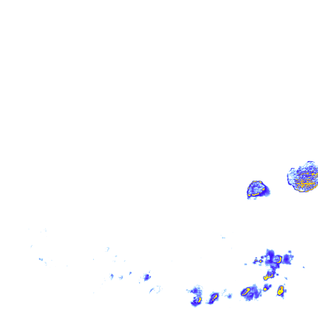 rainLayer