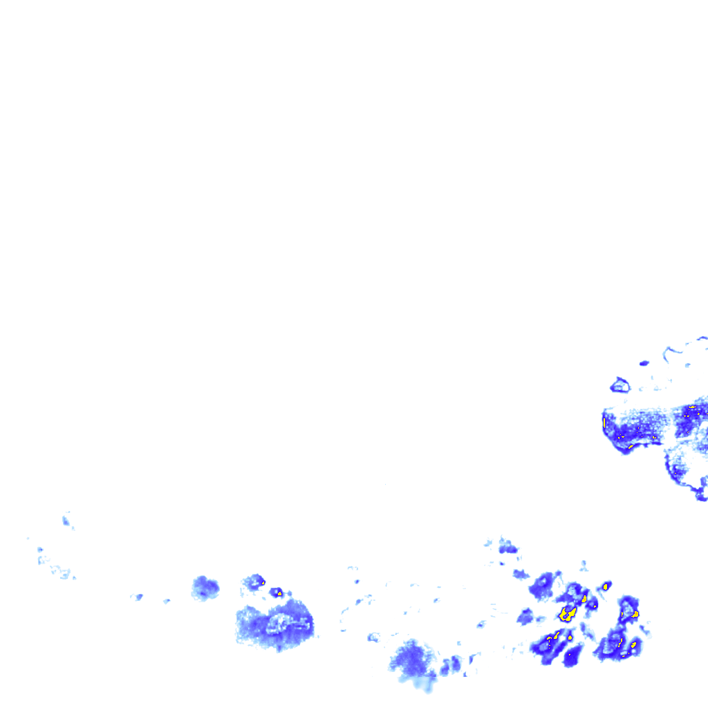 rainLayer