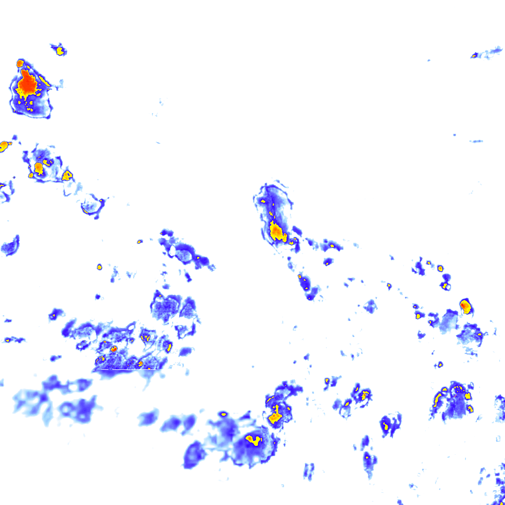 rainLayer