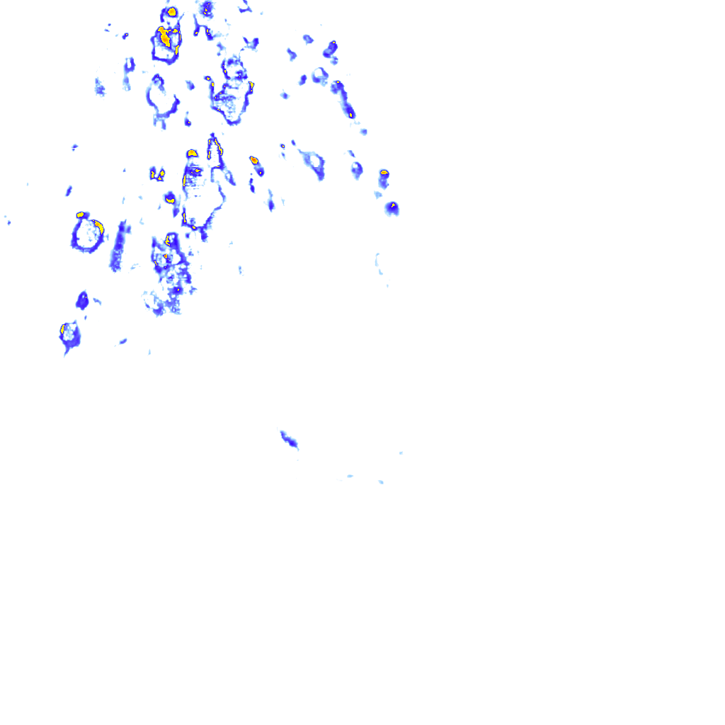 rainLayer