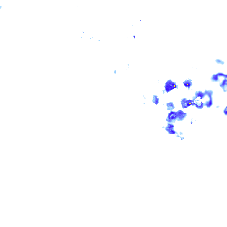 Image Layer