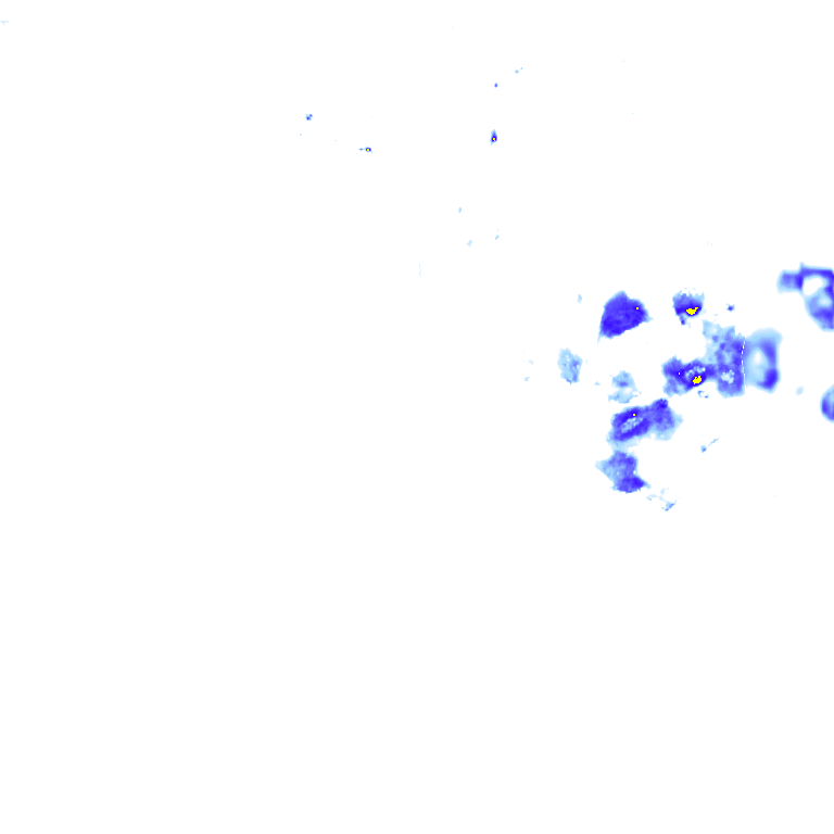 rainLayer