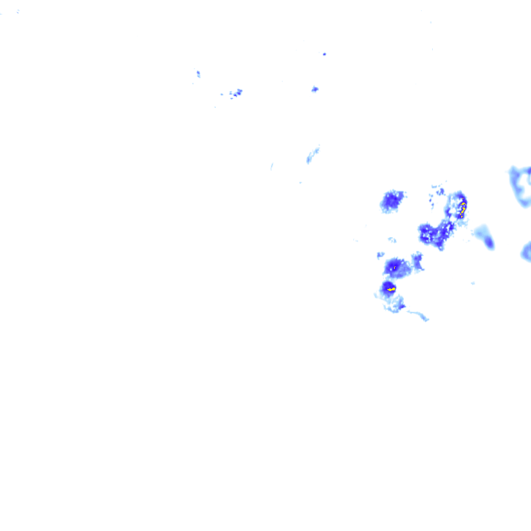 rainLayer