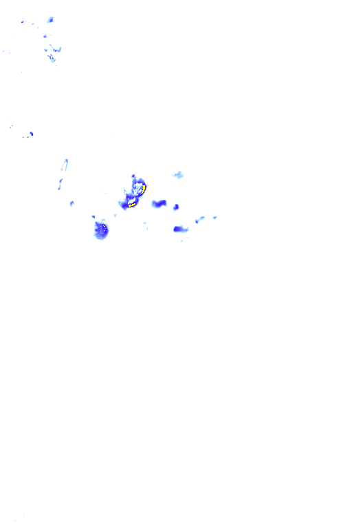 rainLayer