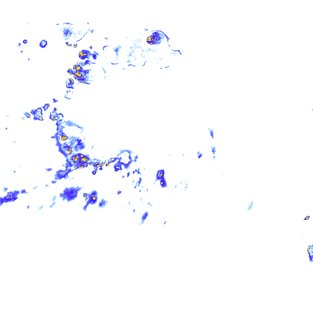 rainLayer
