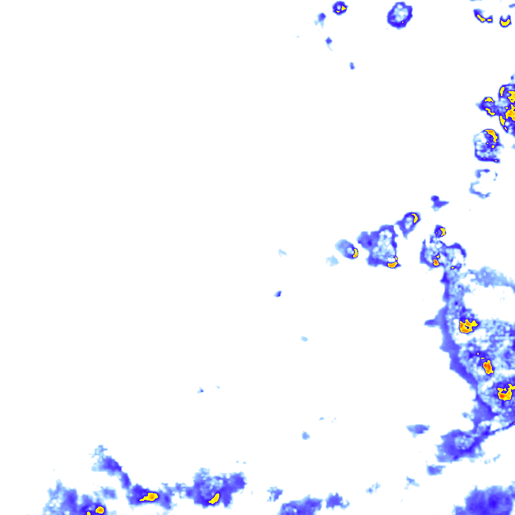 rainLayer