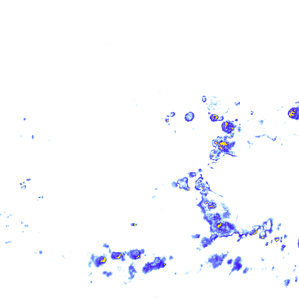 rainLayer