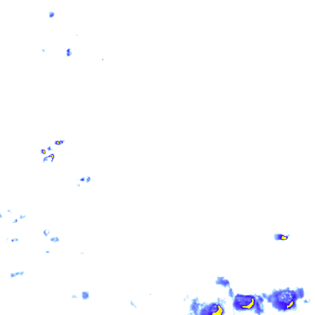 rainLayer