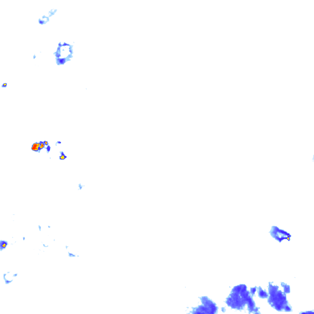 rainLayer