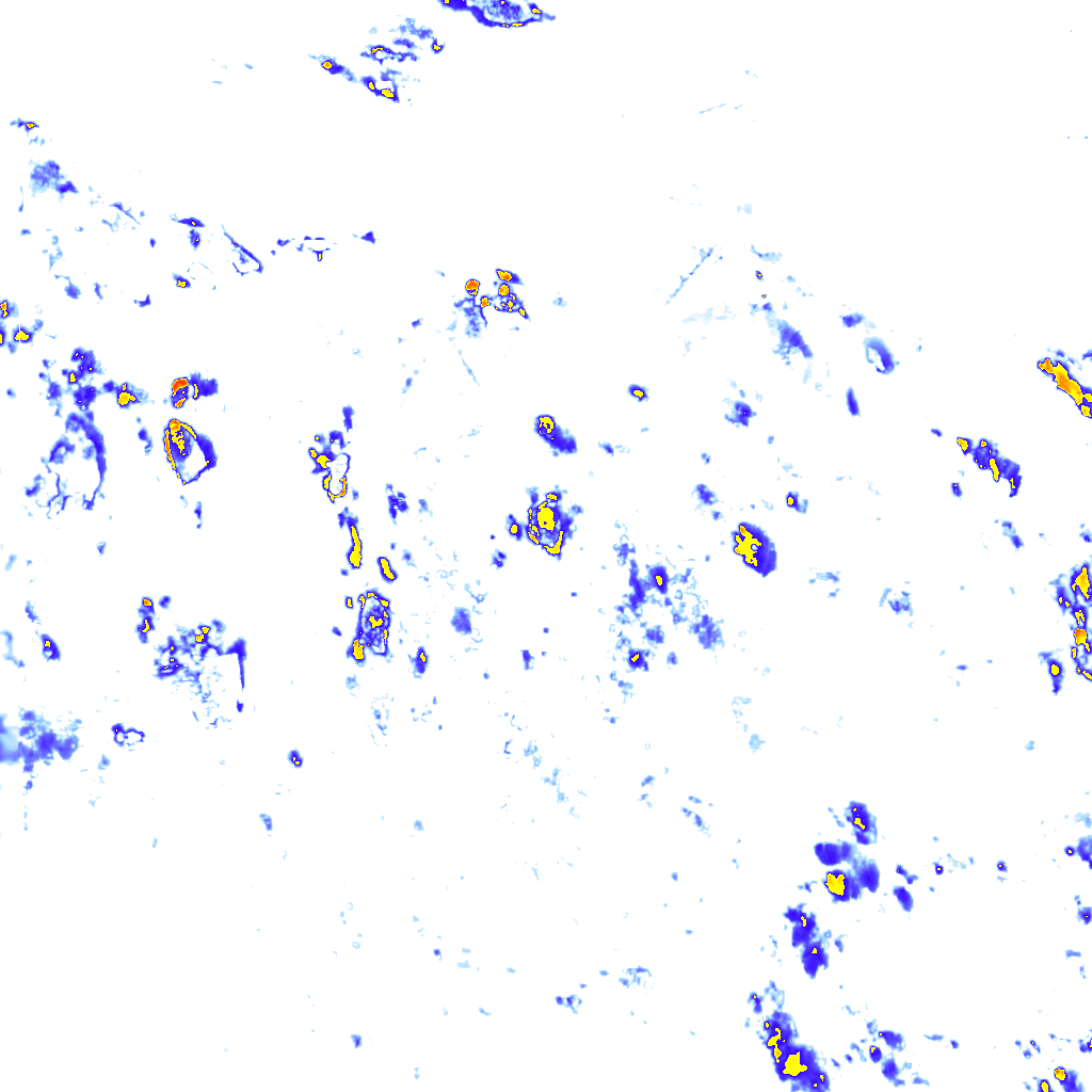 rainLayer