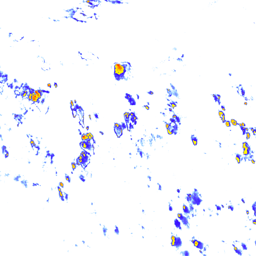 rainLayer
