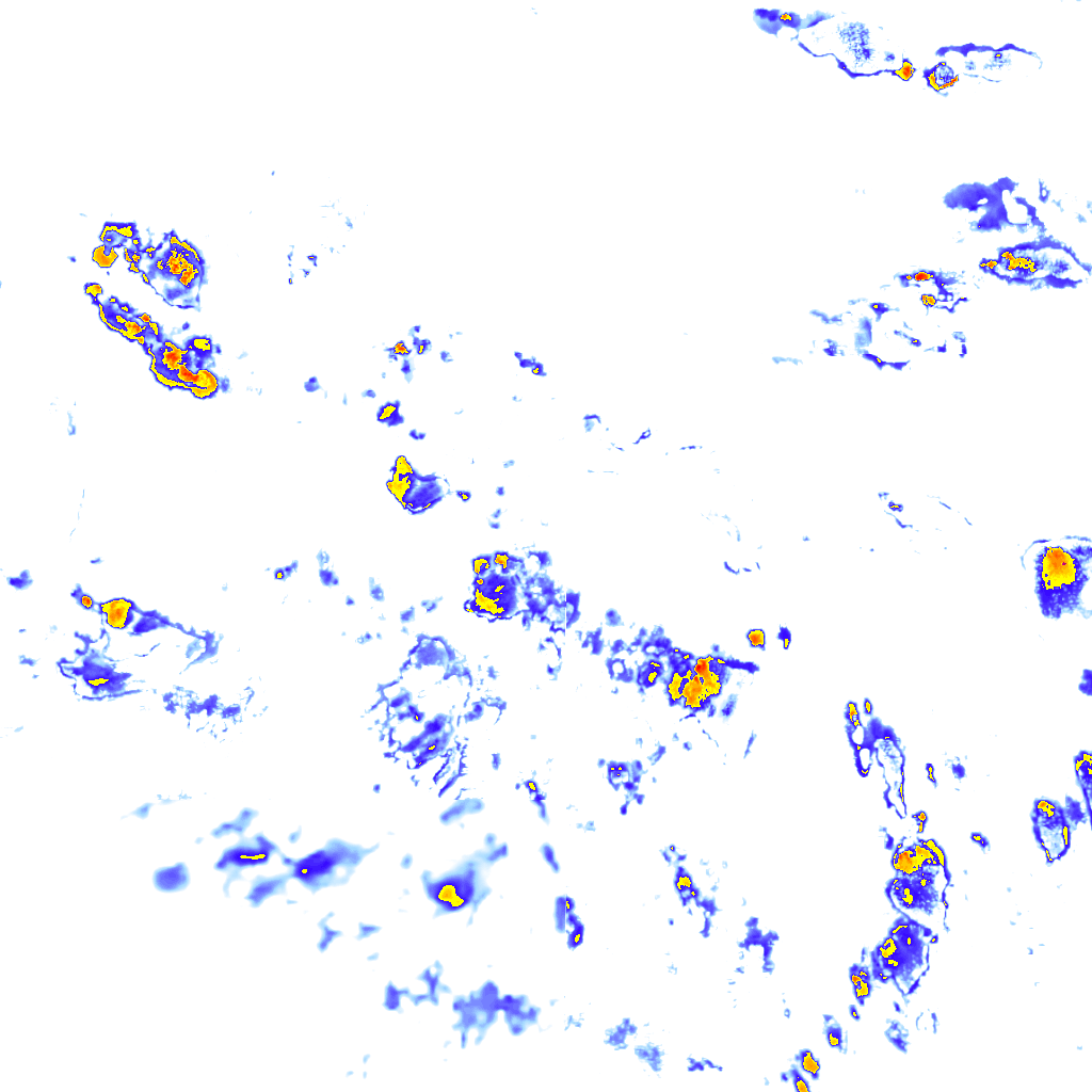 rainLayer