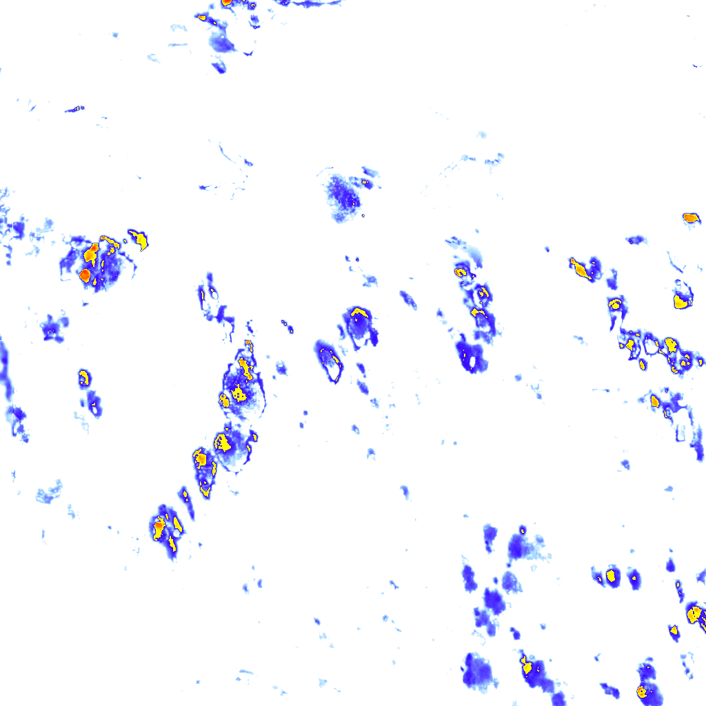 rainLayer