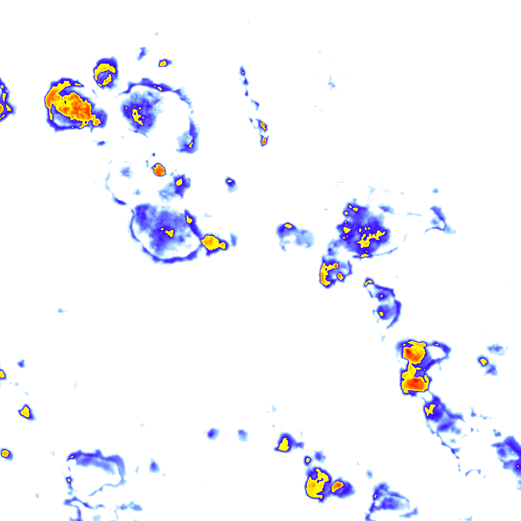 Image Layer