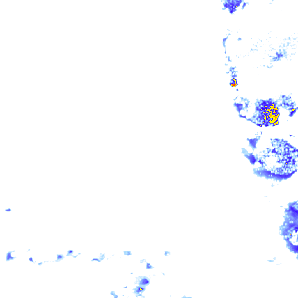 rainLayer