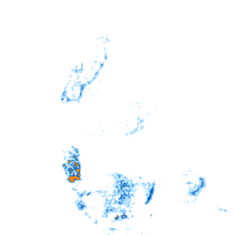 rain layer