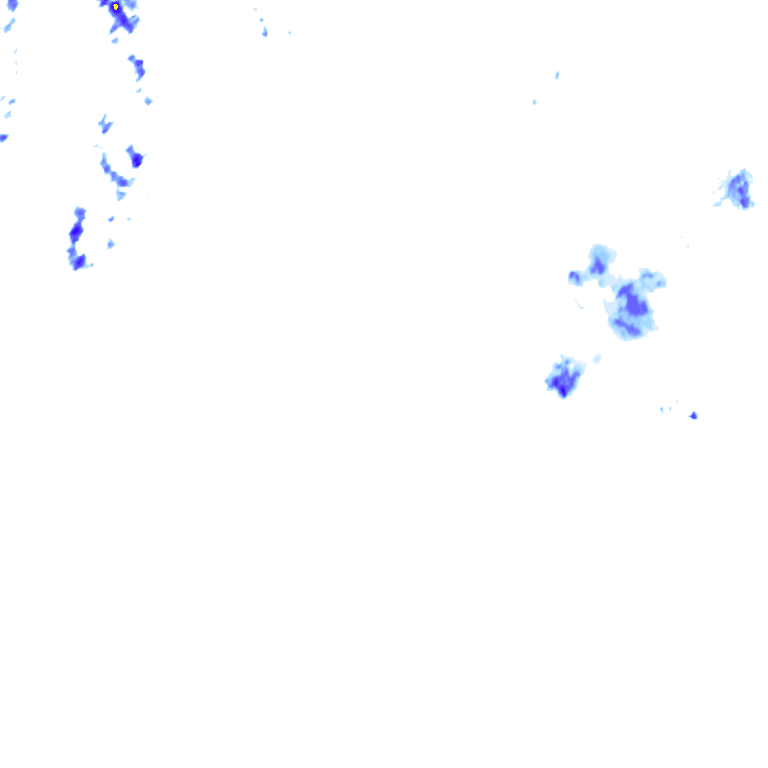 rainLayer